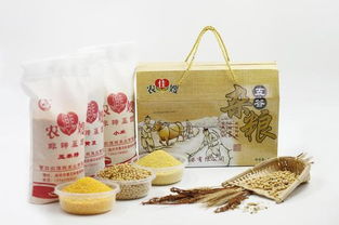 農佳嫂 營口特產和文化藝術品鑒會明星產品