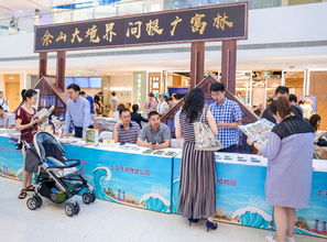 松江最好玩的時(shí)候到了 2019盛夏狂歡季重磅來(lái)襲